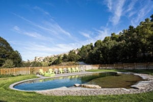 Construction piscine naturelle Bouches-du-Rhône , Vaucluse, Alpes de Haute Provence
