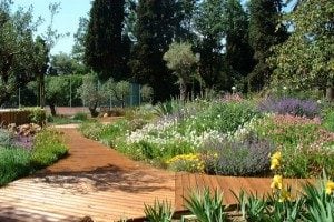 Aménagement d’une rocaille de vivaces et bassin d’agrément dans un jardin méditerranéen