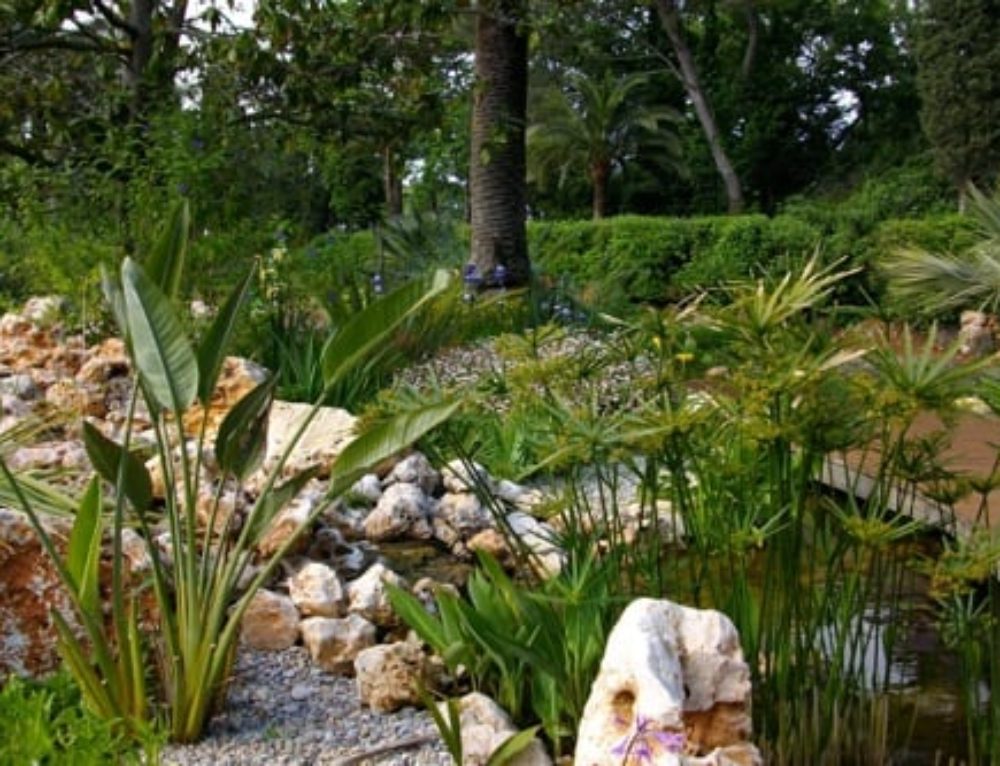Petit jardin méditerranéen au coeur d'Aix en Provence