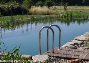 piscine naturelle au coeur de la Provence réalisée Nature & Prestige