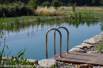 piscine naturelle au coeur de la Provence réalisée Nature & Prestige