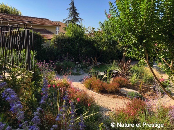 un jardin méditerranéen composé de vivaces, graminées et plantes exotiques à Aix en Provence