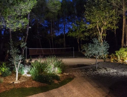 Un terrain de sport dans son jardin