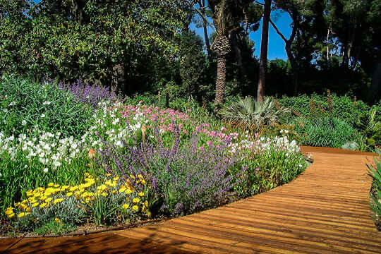 Le jardin Méditerranéen avec de belles plantes aromatiques tels que le thym, la sauge...