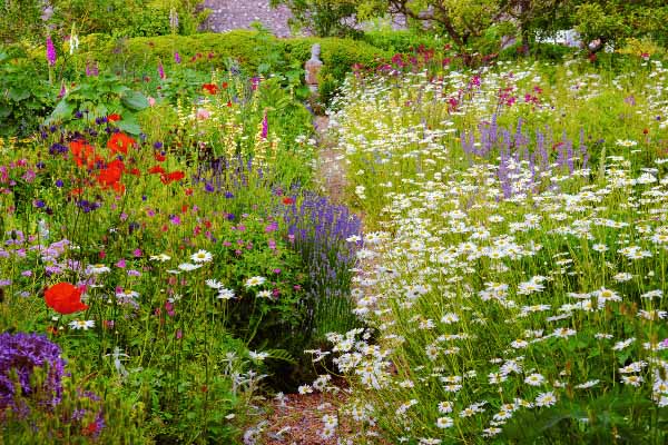 Exemple typique d'un jardin a l'anglaise