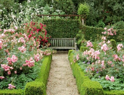 Un jardin à la française vs un jardin à l’anglaise en Provence