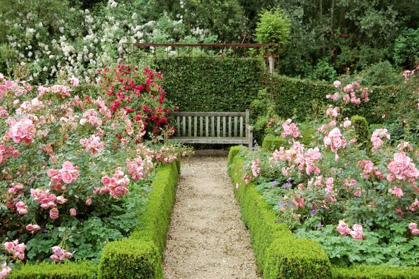 Jardin français vs jardin anglais en Provence