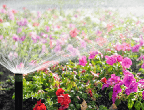 Comment installer un système d’irrigation efficace et intelligent ?