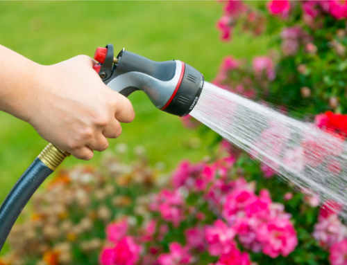 Comment optimiser l’arrosage de votre jardin en Provence ?