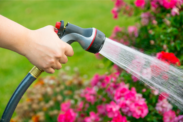Comment réduire sa consommation d'eau dans son jardin en Provence