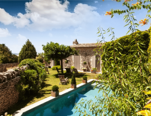 Comment entretenir votre jardin en Provence durant l’été ?