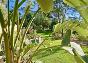 Vue d'ensemble d'un jardin à Rognes