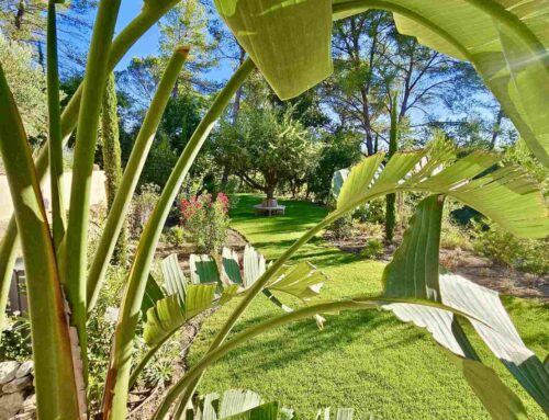 Aménagement paysager complet à Rognes : de la conception à la réalisation d’un jardin Méditerranéen haut de gamme
