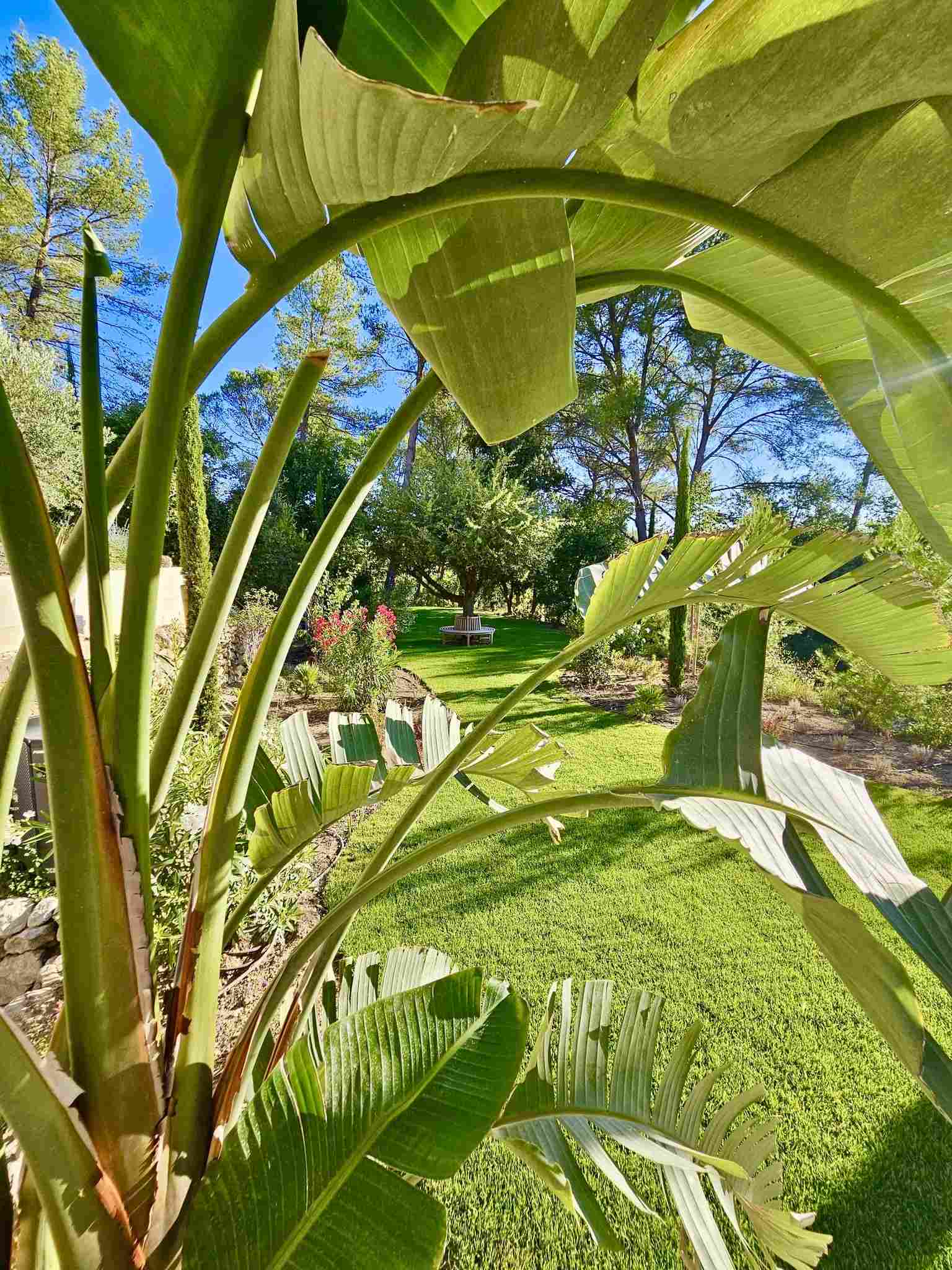 Vue d'ensemble d'un jardin à Rognes