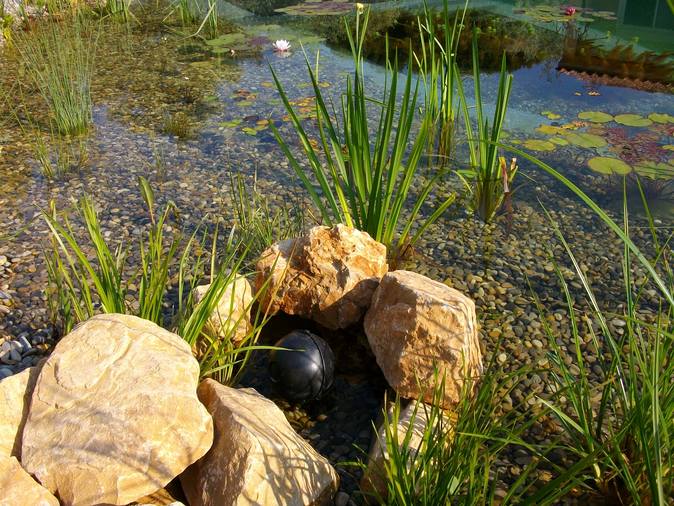 enrochement-piscine-naturelle Type d'enrochement possible pour une piscine naturelle