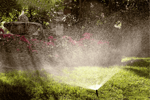 gestion-eau-jardin Solutions optimales pour bonne gestion de l'eau