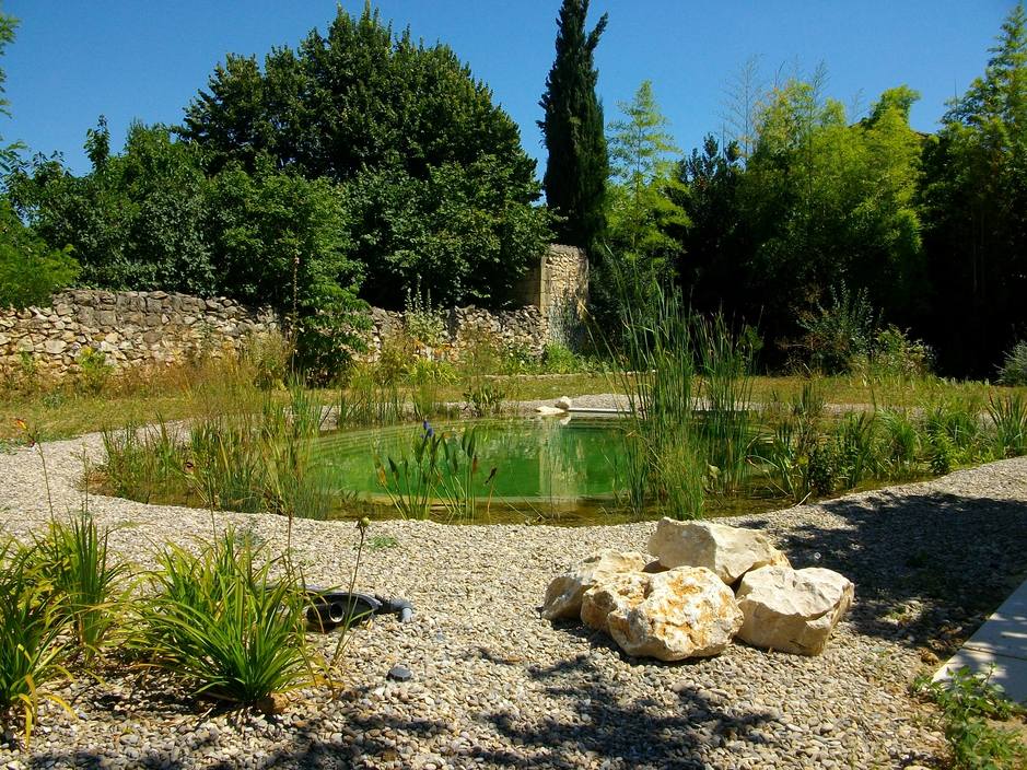 piscine-naturelle-Luberon La piscine naturelle l'élément centrale du jardin