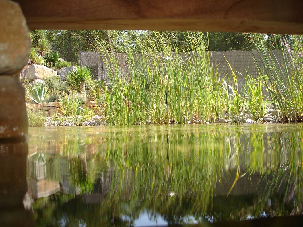 piscine-naturelle-dans-le-Luberon Piscine naturelle en plein coeur du Luberon