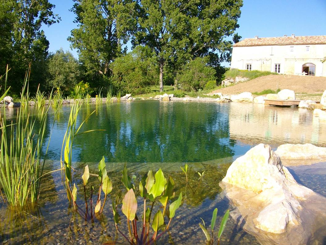 piscine-naturelle-Luberon Piscine naturelle en plein coeur du Luberon