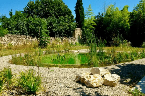 bassin-piscine-naturelle Bassin paysager au centre d’un jardin méditerranéen avec graviers, pierres et végétation
